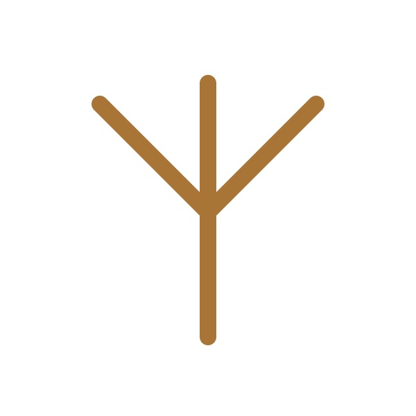 The selected sign: Three Paths